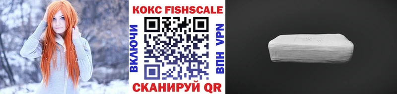 COCAIN FishScale  Купить закладки  Ефремов 