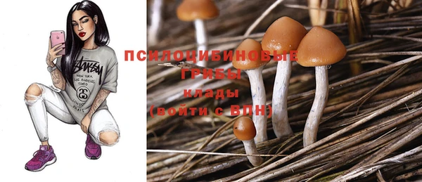 прущая мука Гусев