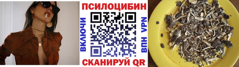 Псилоцибиновые грибы мухоморы  Купить  Ефремов 